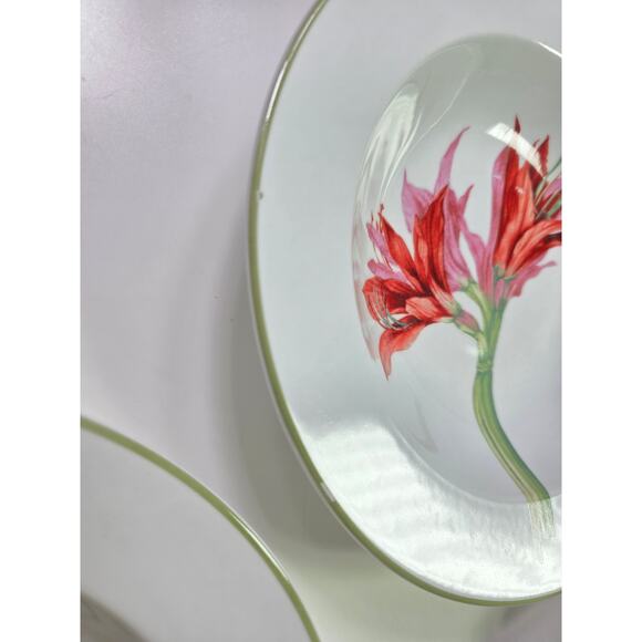 222 FIFTH White Floral BLOOM Green Lip Large Rim Soup Bowls Set of 4 - Picture 6 of 9